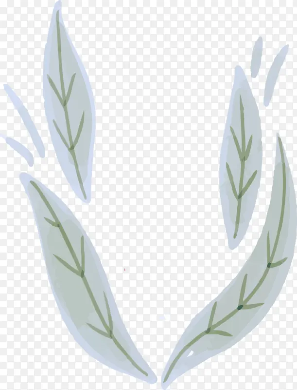 Ҷ ֲ�� ��ѧ-������