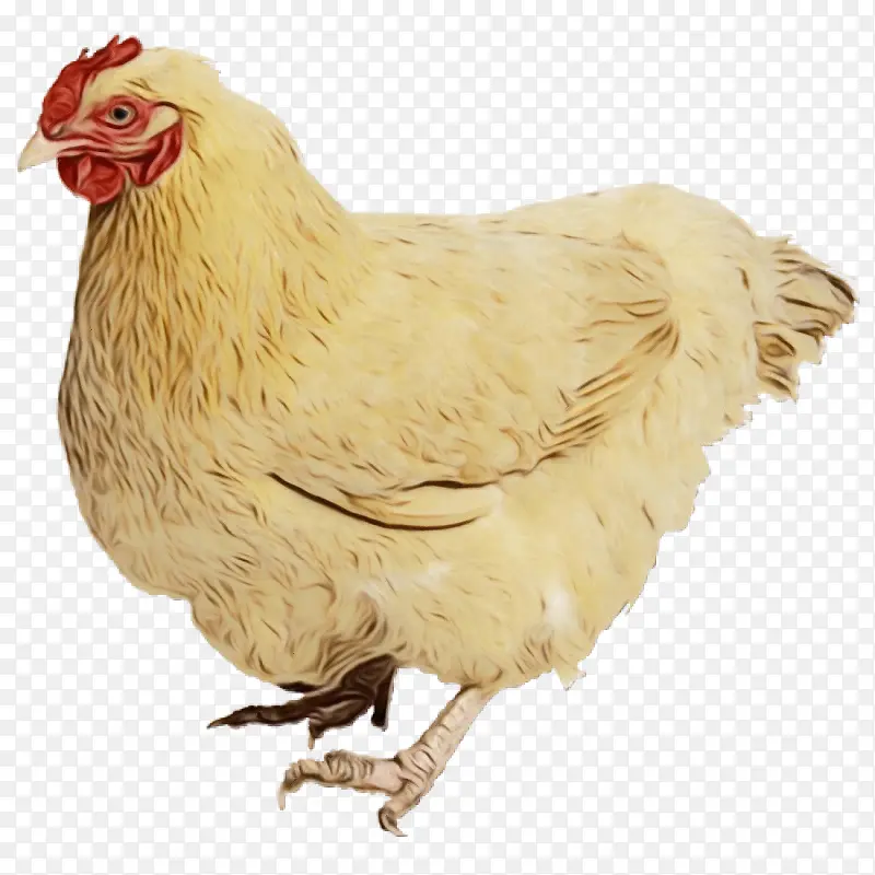 ˮ�ʻ� ���� ʪīˮ-������