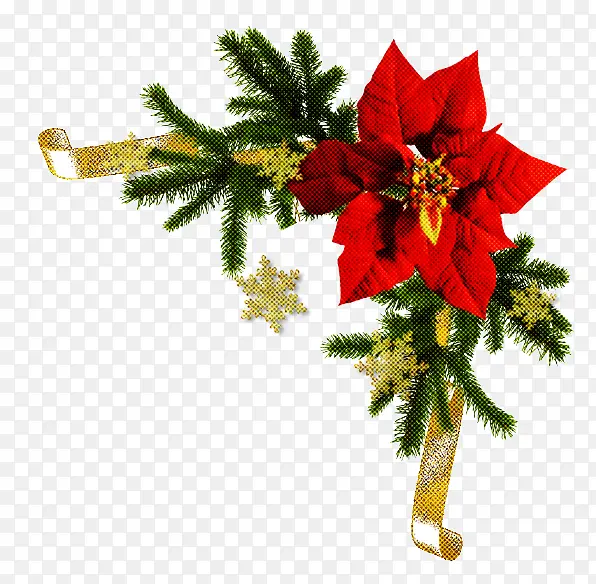 ���� ���� ʥ����-������