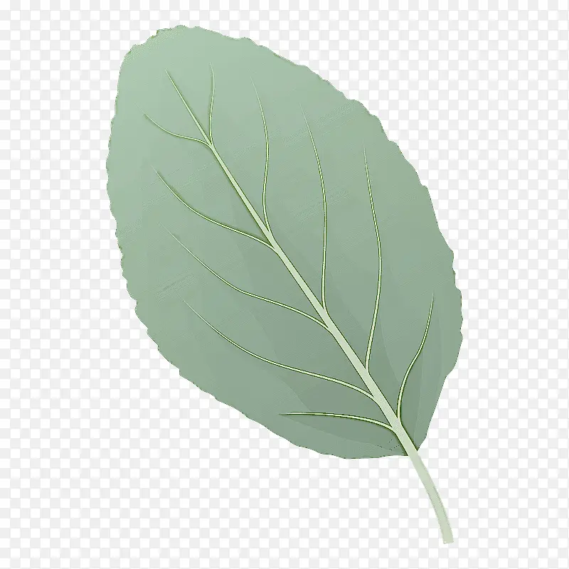 Ҷ ֲ�� ֲ��ṹ-������