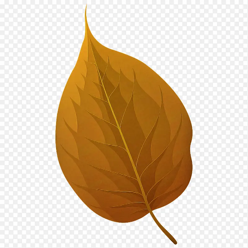 Ҷ�� ��ѧ ֲ��ṹ-������