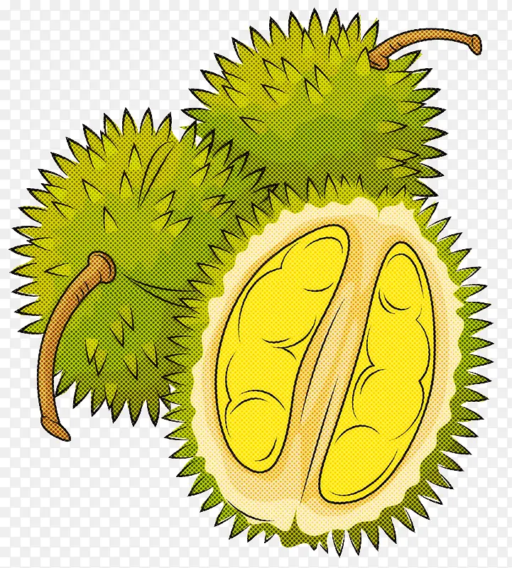 ֲ�� ���� ��ľ-������