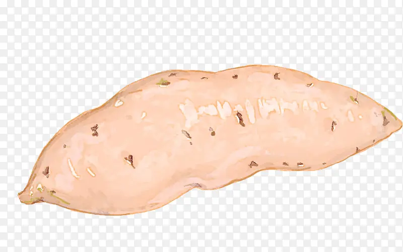 ������ ����֬�� ����ѧ-������