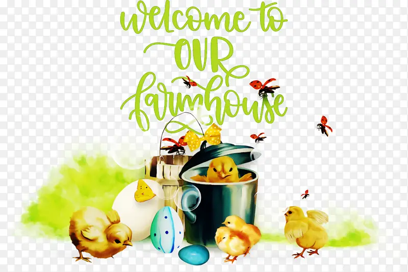 ũ�� �Ǳ� ����-������