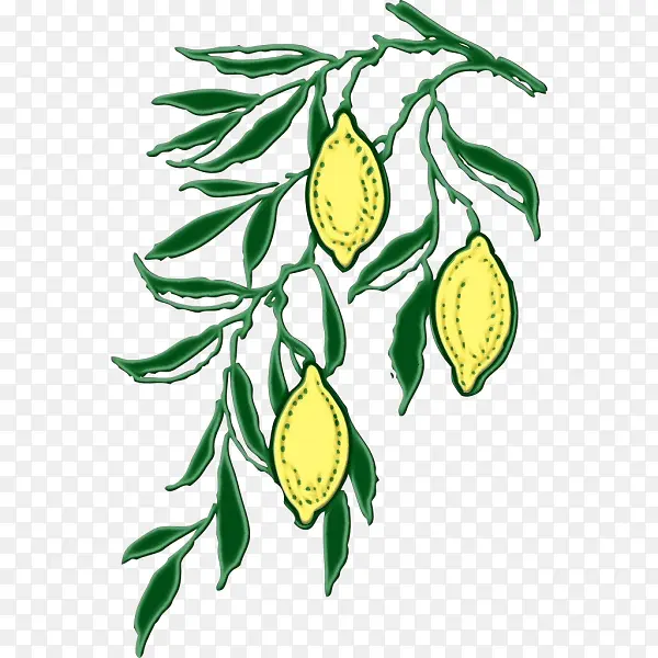 ˮ�ʻ� ���� ʪī-������