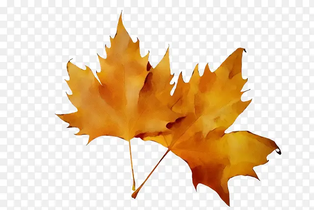 ˮ�ʻ� ���� ʪī-������