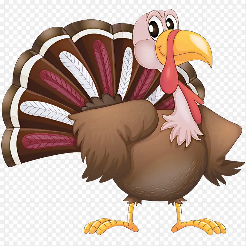 ½��èͷӥ �� ��ͨ-������