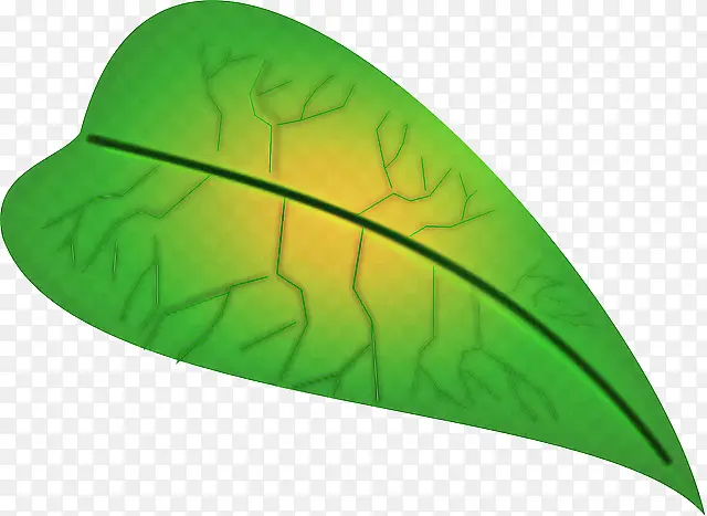 Ҷ�� ��ɫ ֲ��ṹ-������