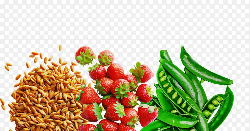 ����ʳƷ ��ȻʳƷ �߲�-������