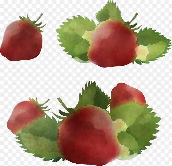 ��ȻʳƷ ����ʳƷ ����ʳƷ-������