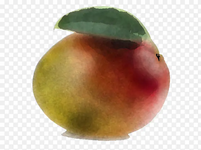 ˮ�� ƻ��-������