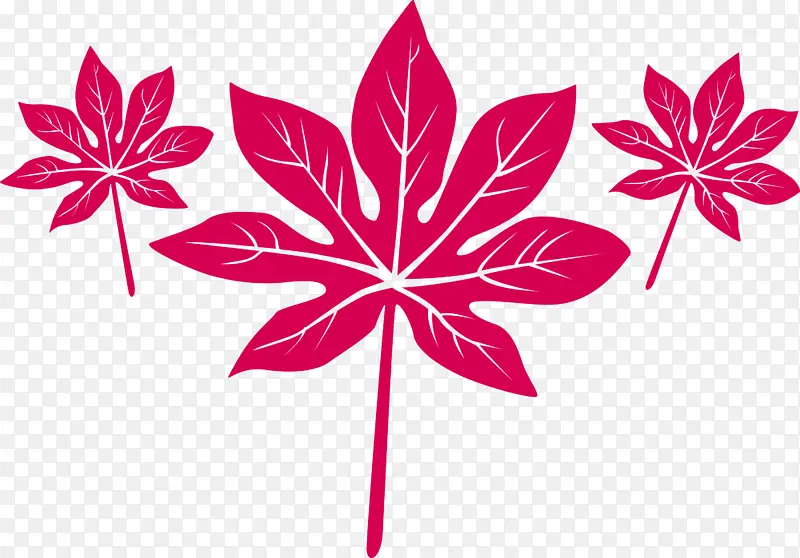 Ҷ �� �Գ�-������