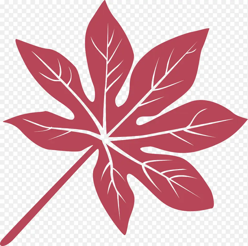 Ҷ �� �Գ�-������