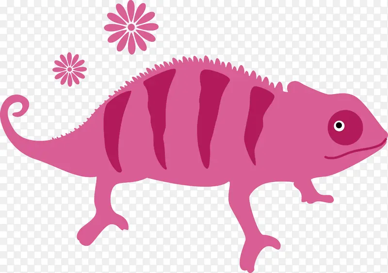 ��ɫ�� ���� ����-������