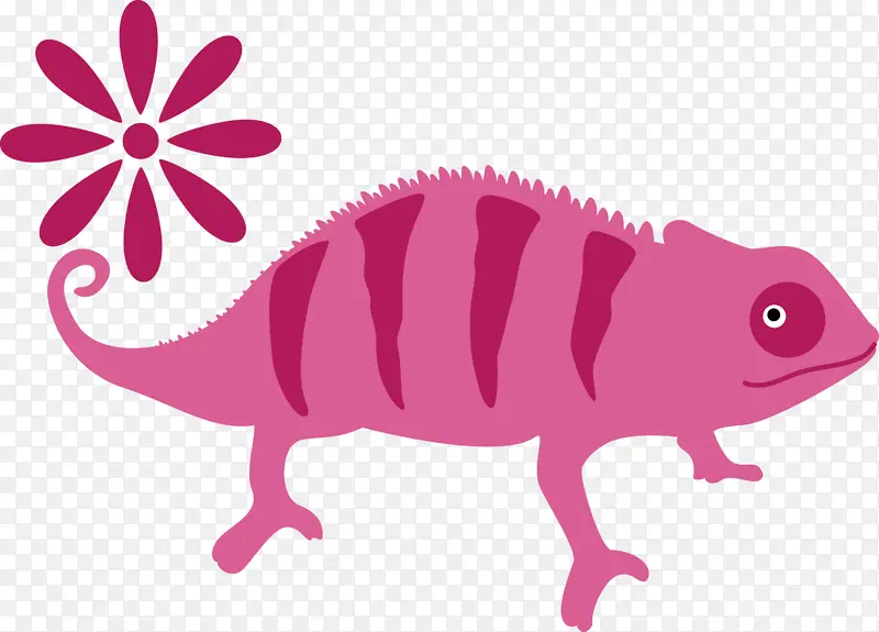 ��ɫ��-������