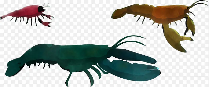 ���� ʮ��Ŀ���� �-������