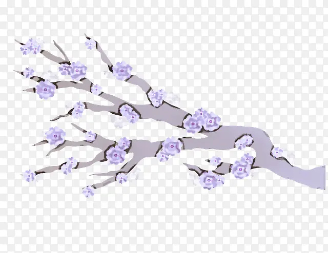 �鱦 ������ ޹�²�-������