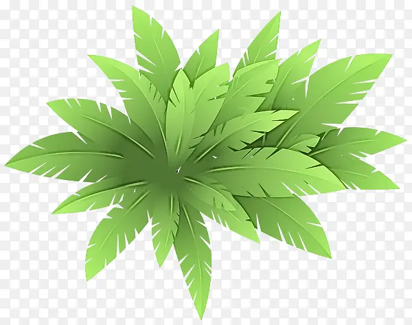 Ҷ �� ֲ��ṹ-������