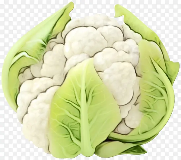 ˮ�� ���� ʪīˮ-������