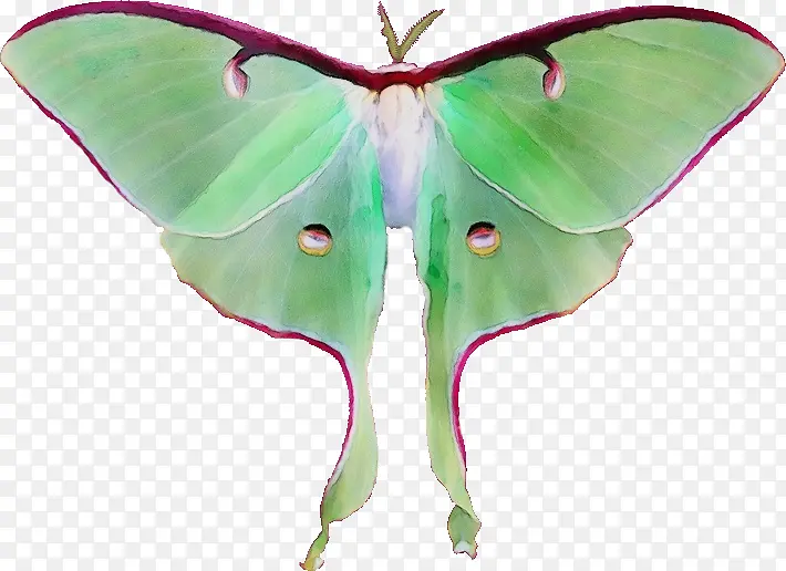 ˮ�ʻ� ���� ʪīˮ-������