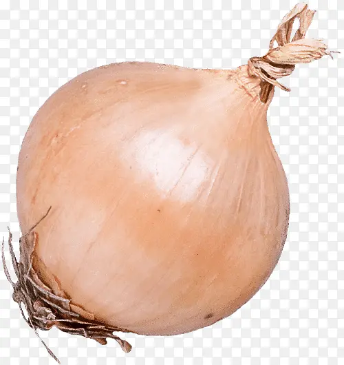 �߲� ��� ����-������