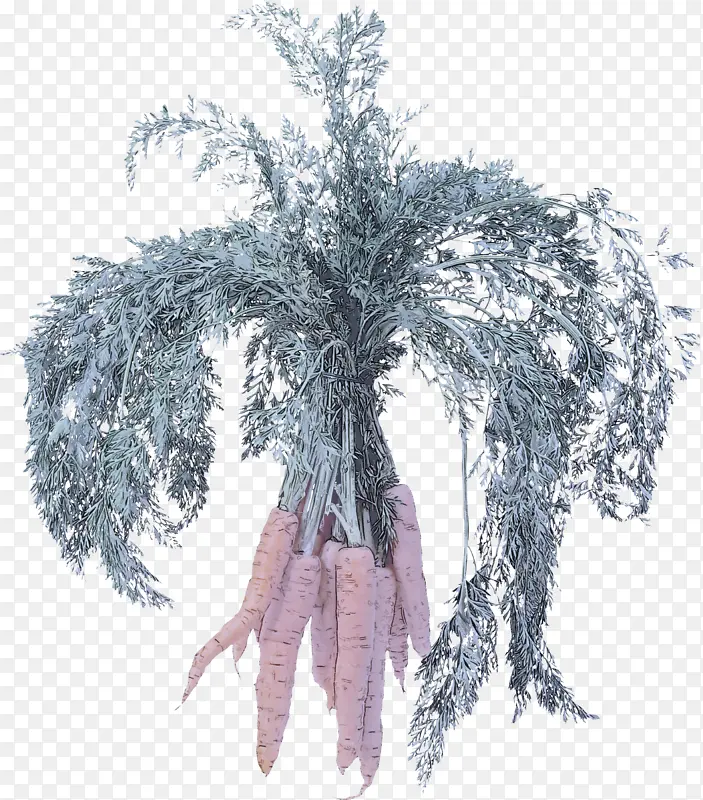 ��֦ �� ֲ��-������