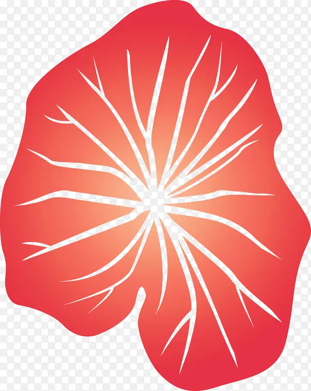 Ҷ�� �� ����-������