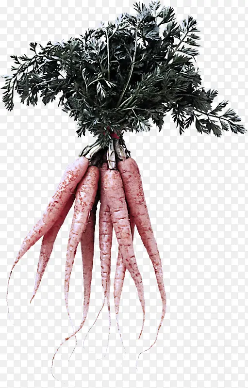 ��֦ ��-������