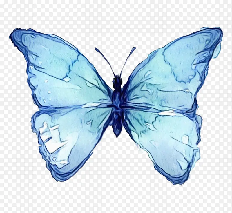 ˮ�ʻ� ���� ʪī-������