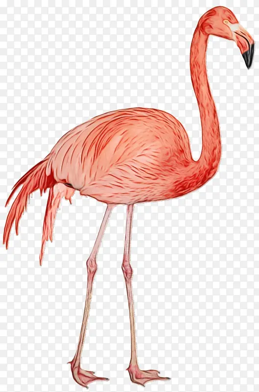 ˮ�ʻ� ���� ʪī-������