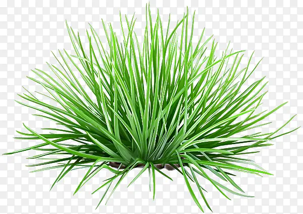 �ɹ���Ʒ����� ��Ʒ ���-������