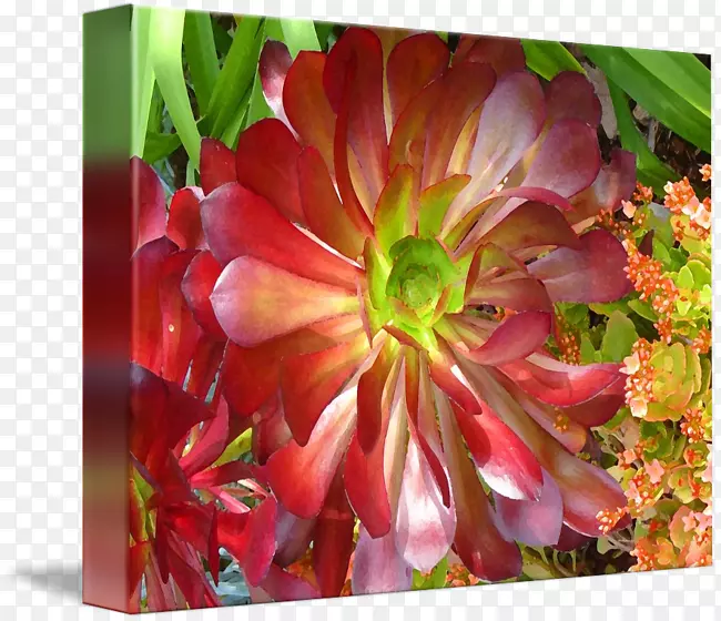 ����ֲ�������滭��԰-���ʱ߽�-������