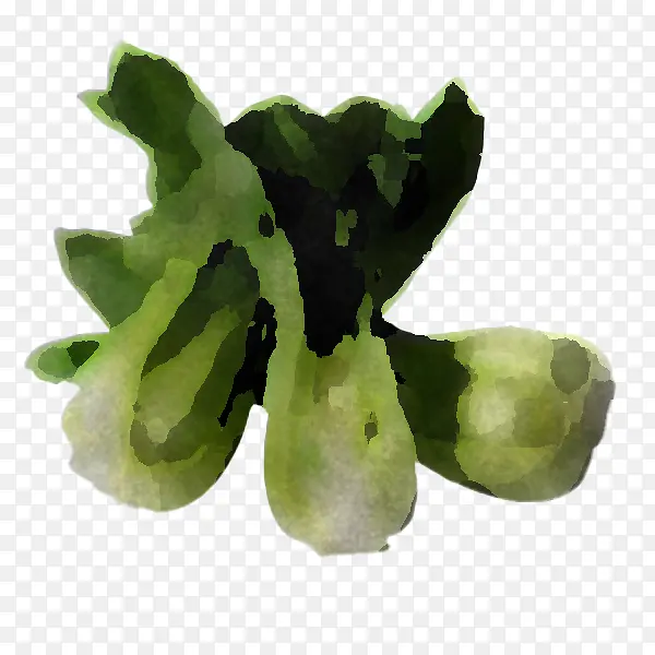 Ҷ��-������