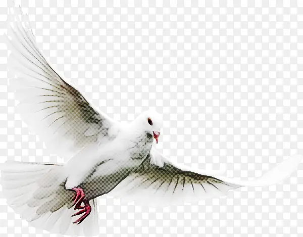 ���� � ��-������