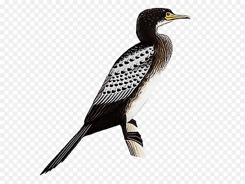 ���� � ��-������