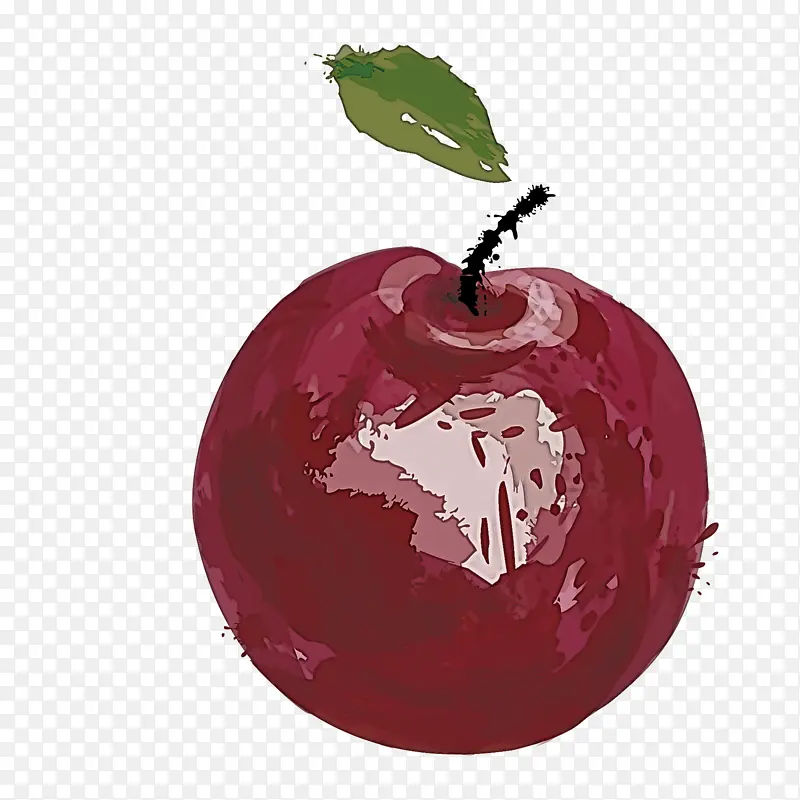 ֲ�� ˮ�� ƻ��-������