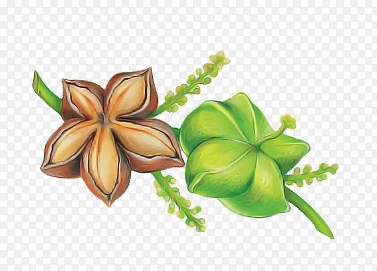 �� ���� ֲ��-������