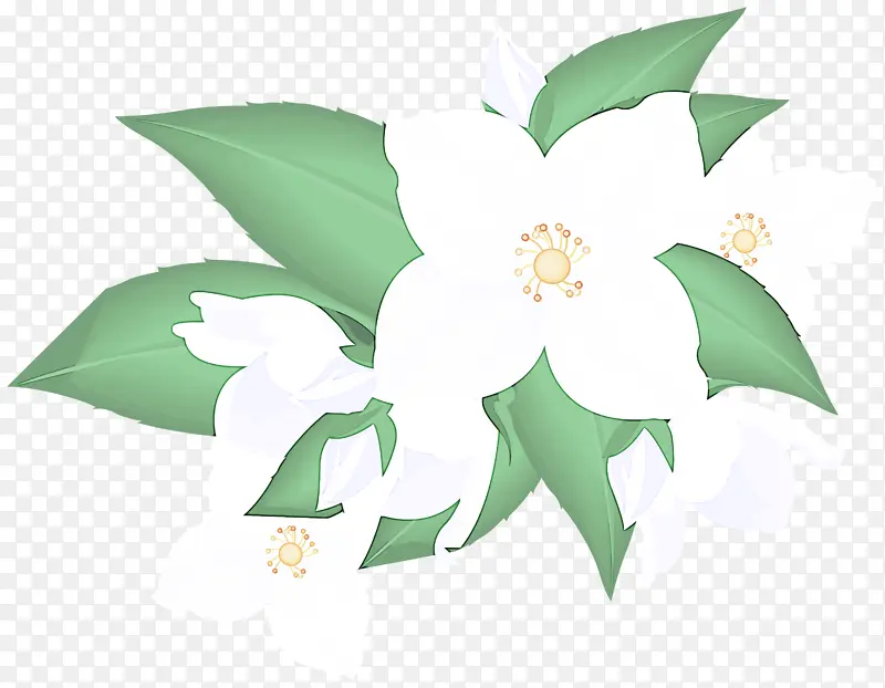 �� Ҷ ֲ��-������