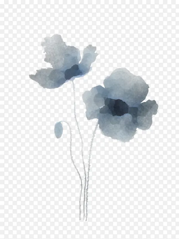 �� ���� ֲ��-������