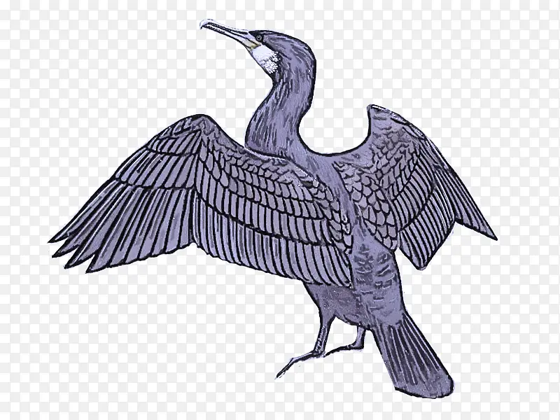 ���� � ��-������