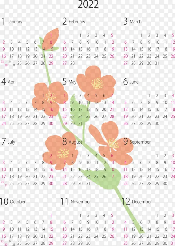 ����ϵͳ-������