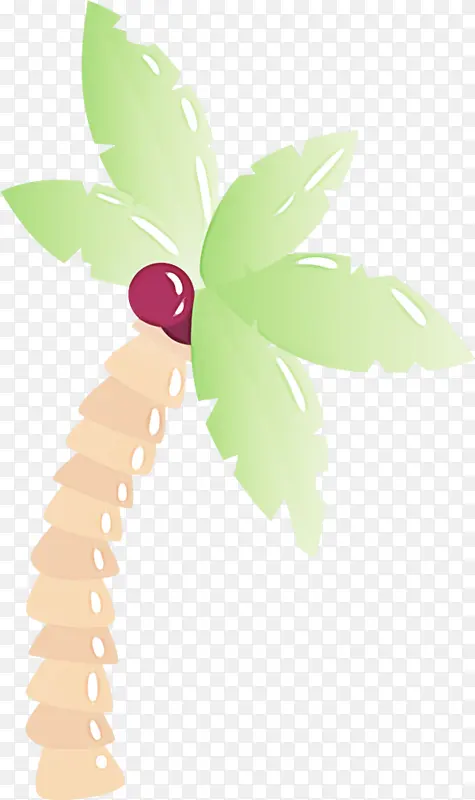 Ҷ�� ֲ�ﾥ ����-������