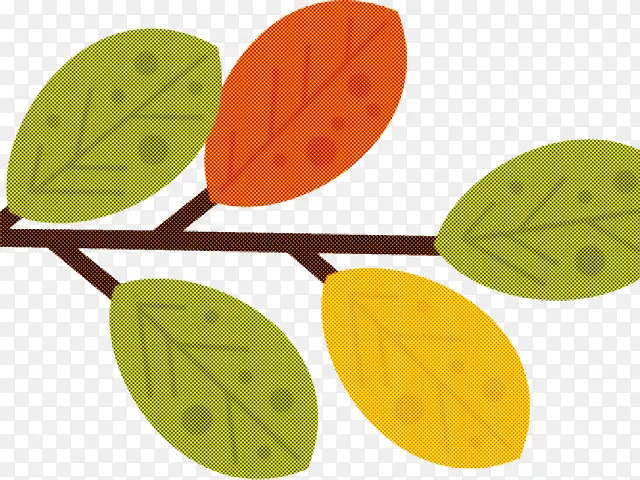 Ҷ ��ѧ ֲ��-������