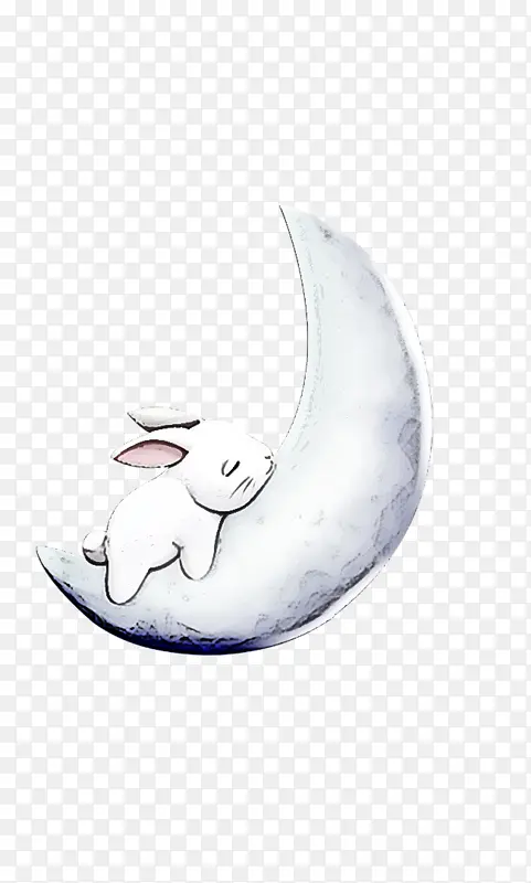 �� ��ͨ ����ѧ-������