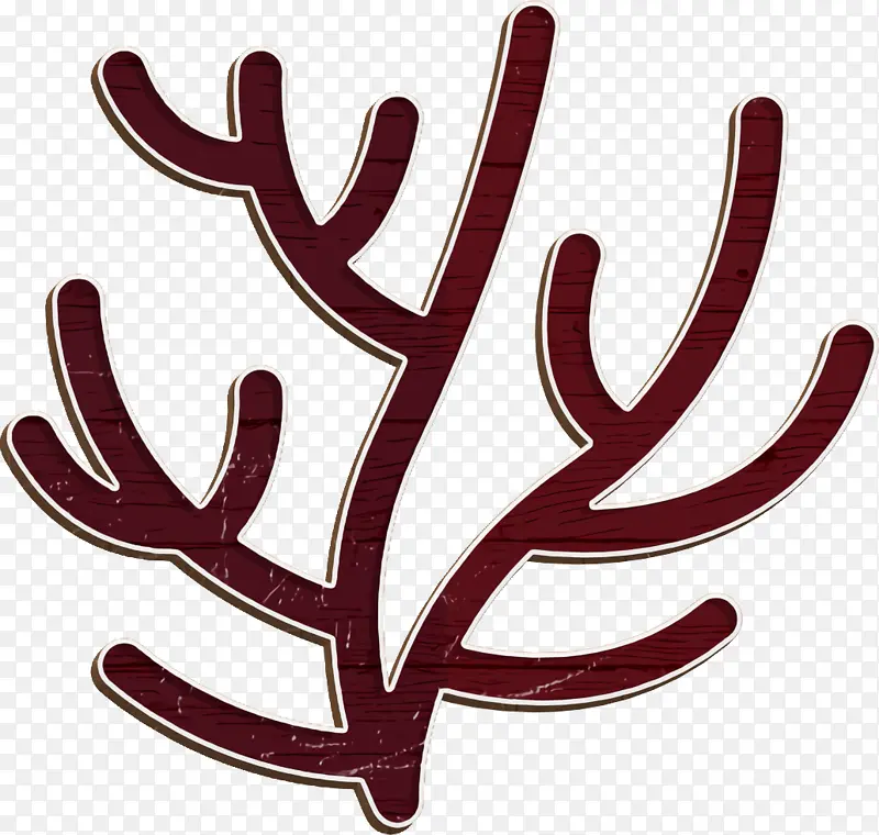 ɺ��ͼ�� ֲ�� ����ѧ-������