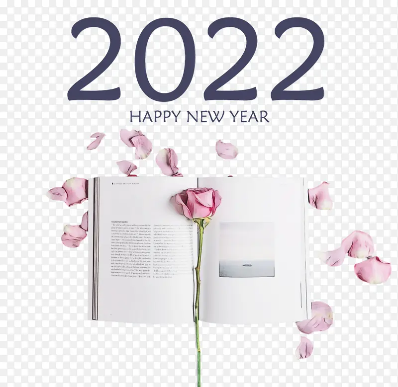 ˮ�� ���� ʪīˮ-������