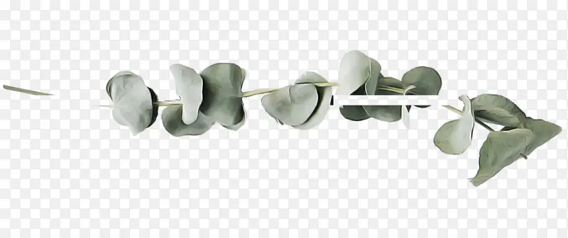 �鱦 �� ��-������