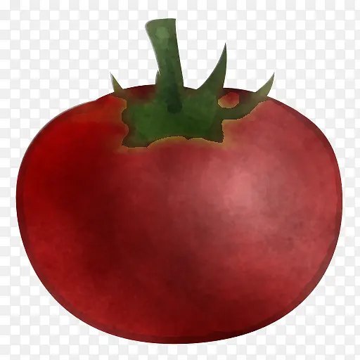 ���� ֲ�� ƻ��-������