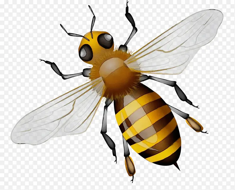 ˮ�ʻ� ���� ʪīˮ-������