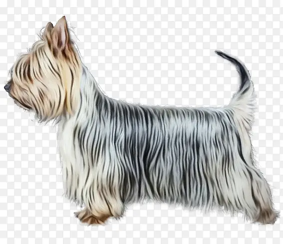 ˮ�� ���� ʪīˮ-������